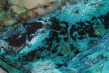 Colorful Chrysocolla and Shattuckite Slab - Mexico #227899-1